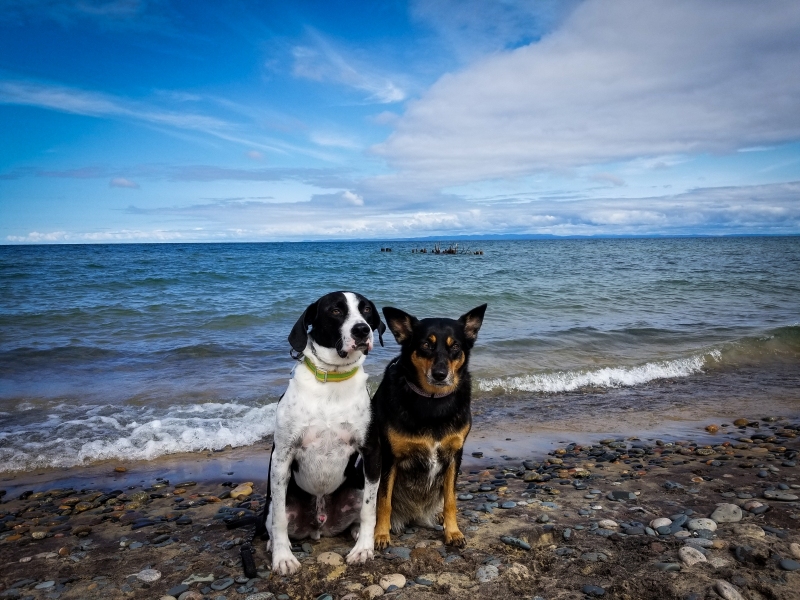 MN Roadhounds at Whitefish Point