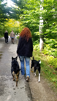 Shelli walking dogs